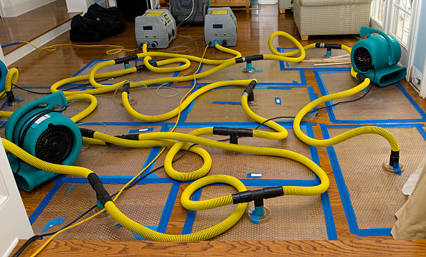 Professional Flood Damage Restoration technician working in Central Islip, NY